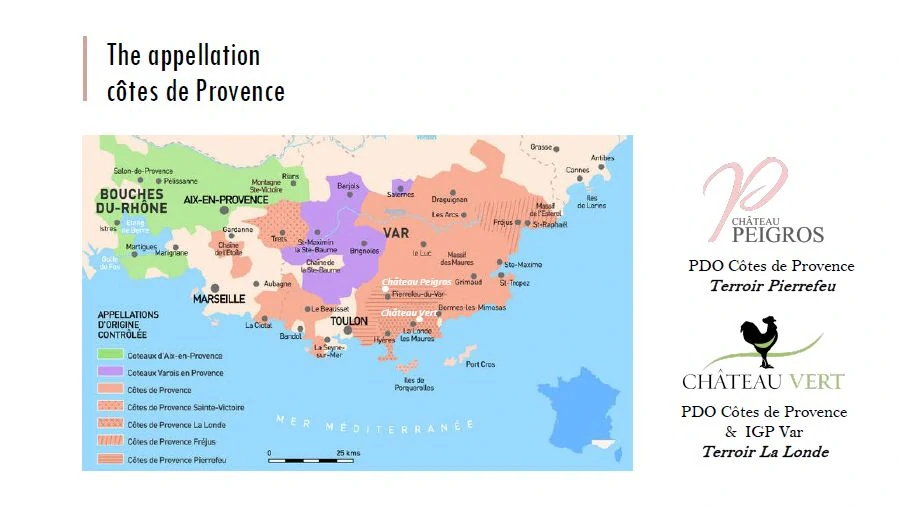 Cuvée Chateau Vert Blanc BIO 2022 AOP Cotes de Provence - Chateau Vert