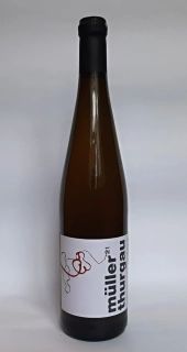 Muller Thurgau zemské víno 2021 natur - Porta Bohemica